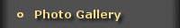 Photo Gallery